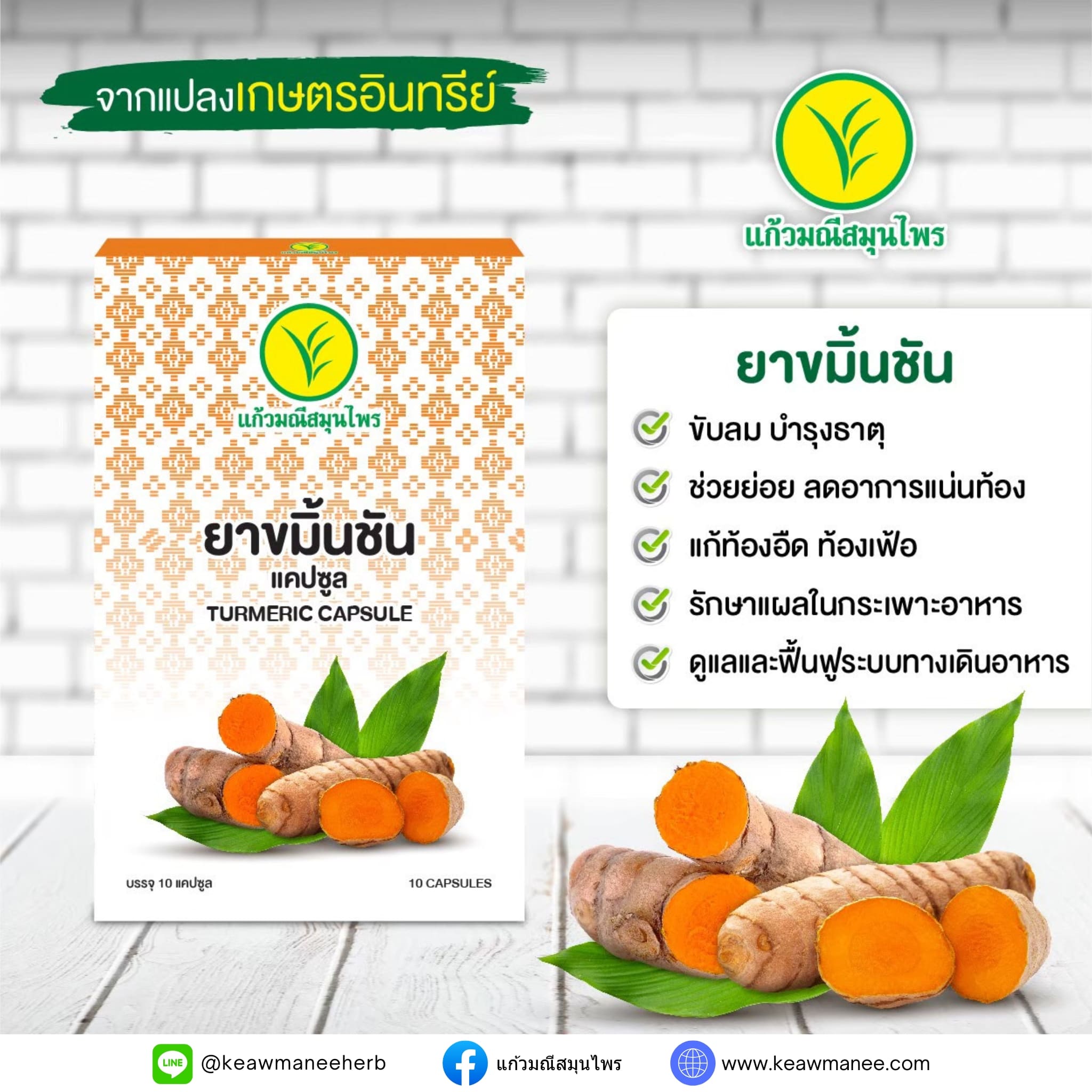 ยาขมิ้นชัน แคปซูล / TURMERIC CAPSULE